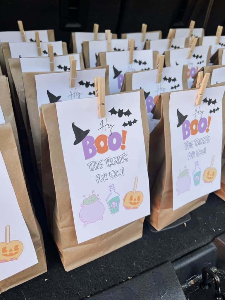 Halloween Classroom Treat Bags For School